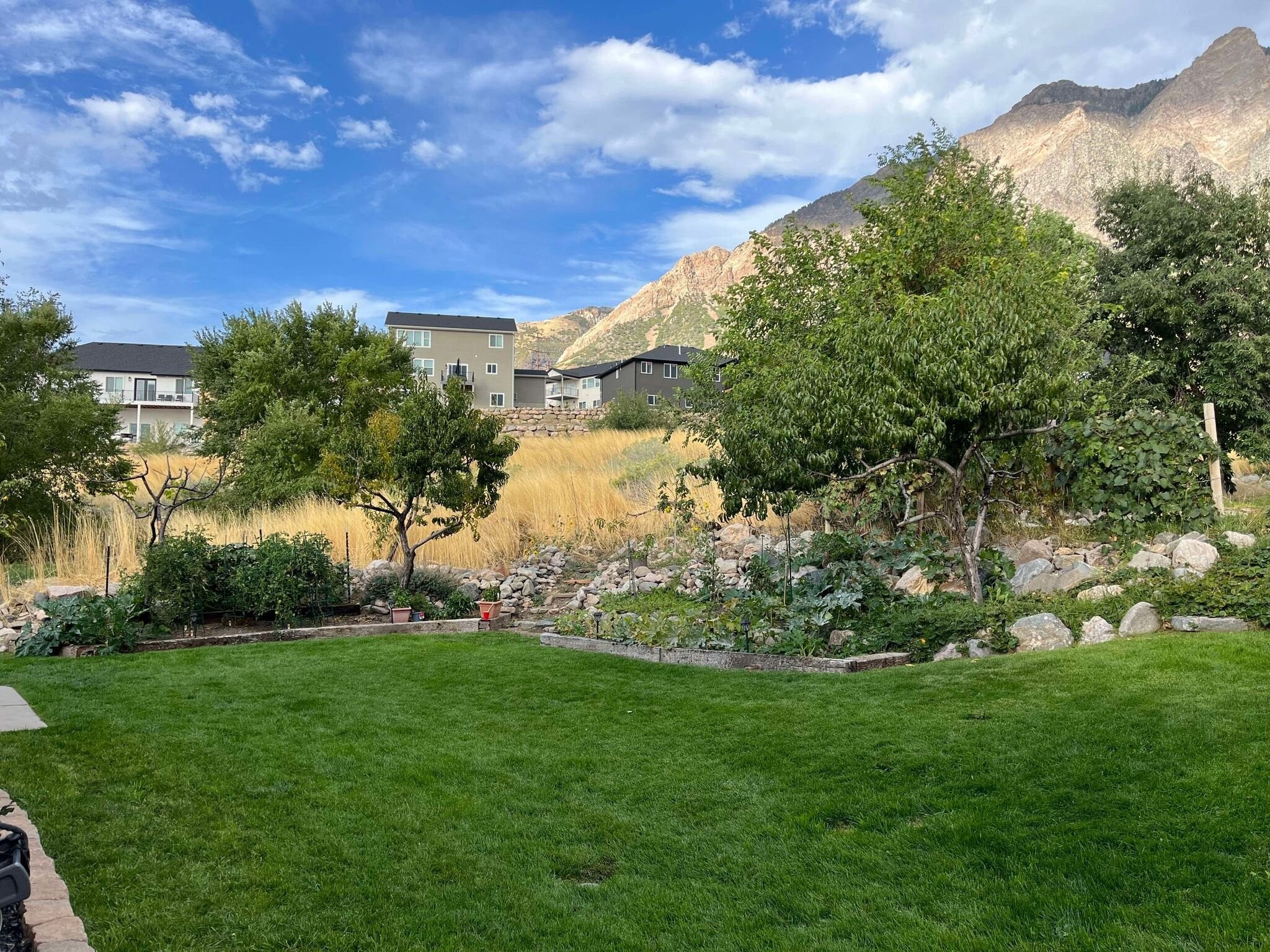 Building Photo - 639 S Appaloosa Cir