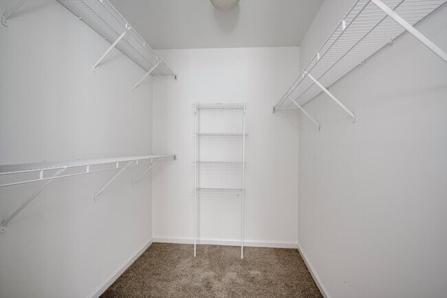Building Photo - 4557 Country Glen Cir