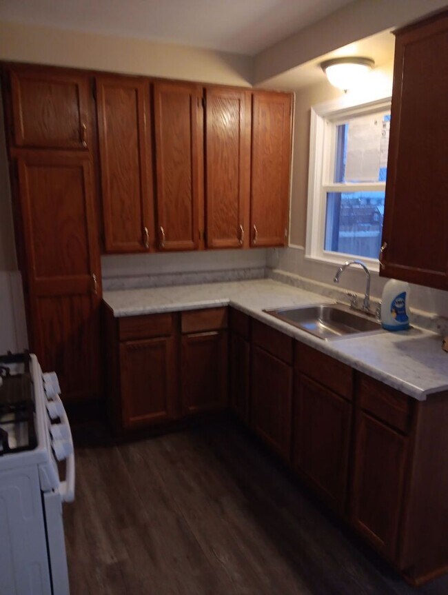 Building Photo - Newly remodeled 2 bedroom house with basem...