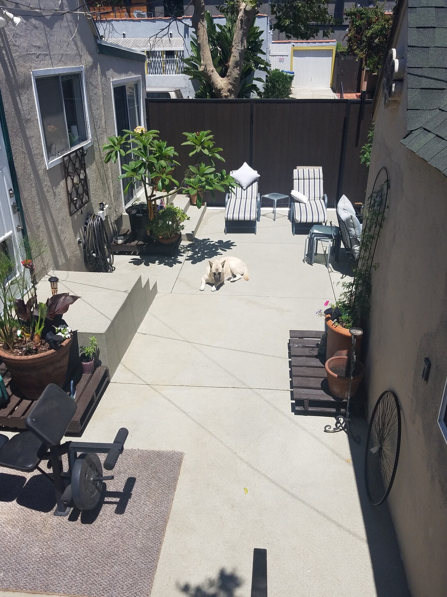 View of Side yard - 750 N Genesee Ave