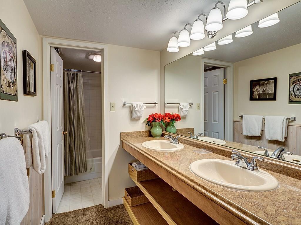 Master Bath - 700 Snowberry Ln