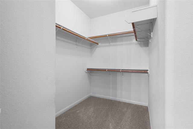 Building Photo - 1104 Primrose Dr
