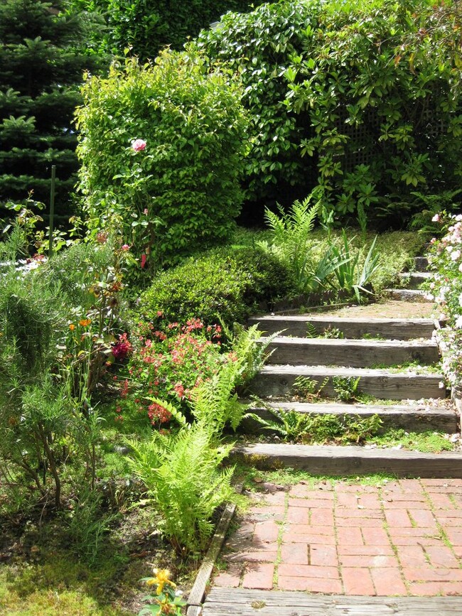 Building Photo - 3bd/2ba House in Leschi