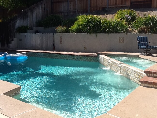 BACKYARD POOL - 2021 Shady Brook Dr