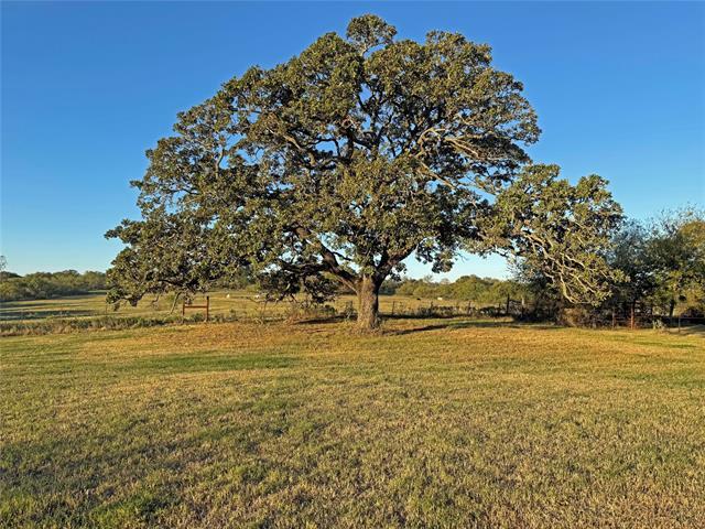 Building Photo - 1017 County Rd 914A