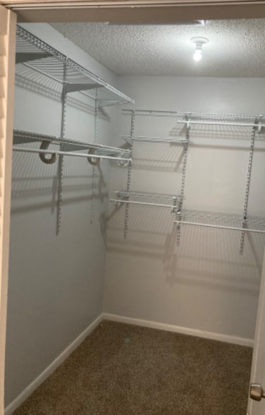 Building Photo - 8800 Bardmoor Blvd