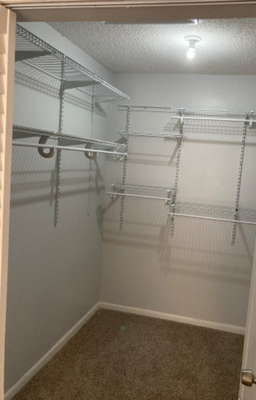 Building Photo - 8800 Bardmoor Blvd