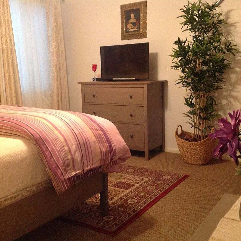 Building Photo - 3314 Treehaven Dr