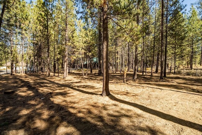 Building Photo - Beautiful Home- Backs up to BLM Land