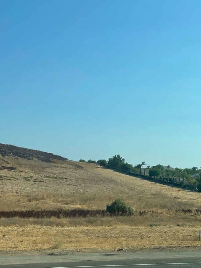 Building Photo - Beautiful New Home