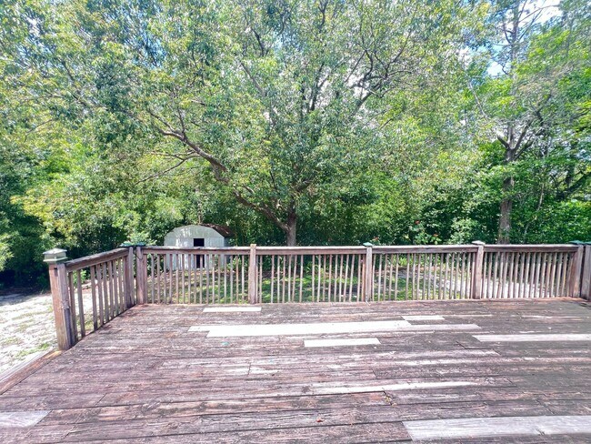 Building Photo - Charming Deltona Lakes Home!