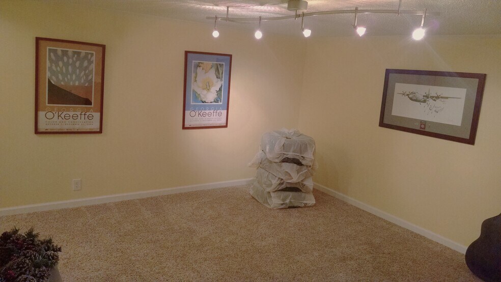 Finished Basement - 384 Surrey Hill Way