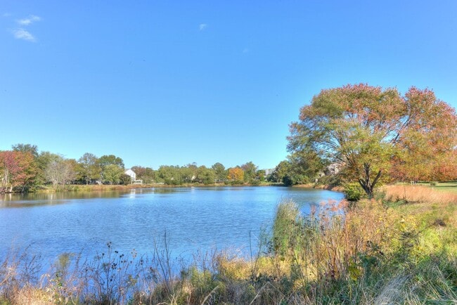 Building Photo - 2 BR, 2 BA Spring Lake Condo
