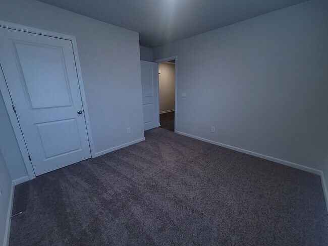 Building Photo - Welcome to our brand new 4-bedroom, 2-bathroom home located in the charming community of Castle H...