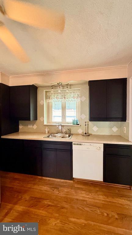 Building Photo - 308 Eldon Ave