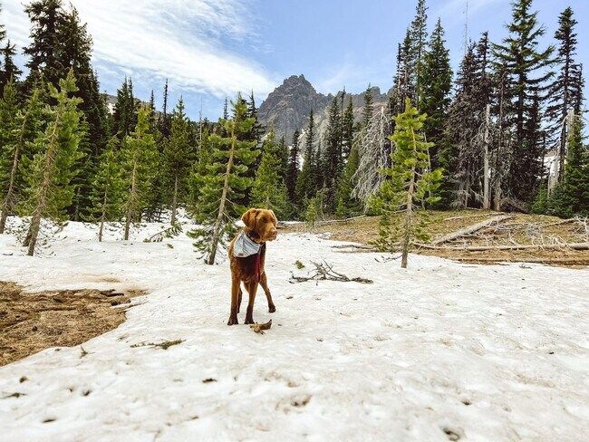 Building Photo - 57314 Approach Ln