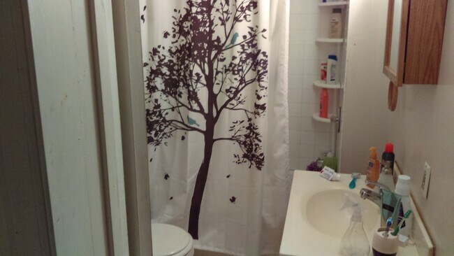 bathroom - 1014 N University Dr