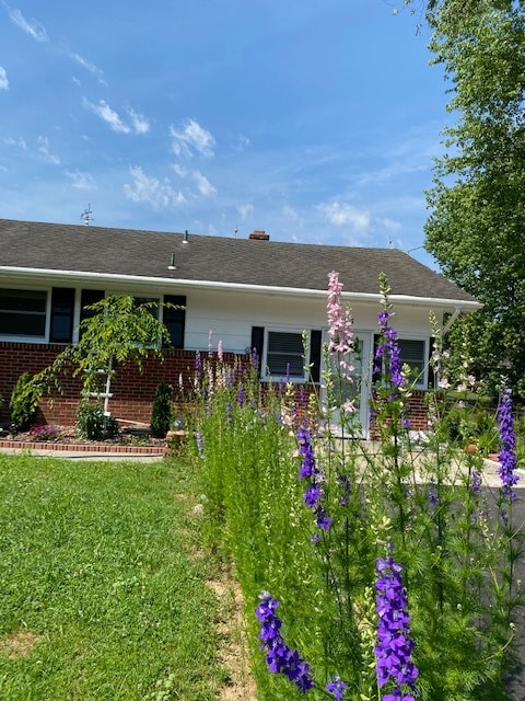 Building Photo - 113 Malone Ave