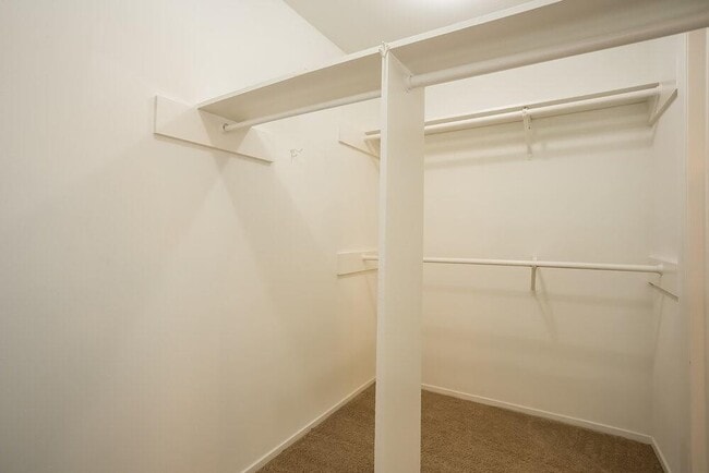 Building Photo - 7311 Skybright Ln