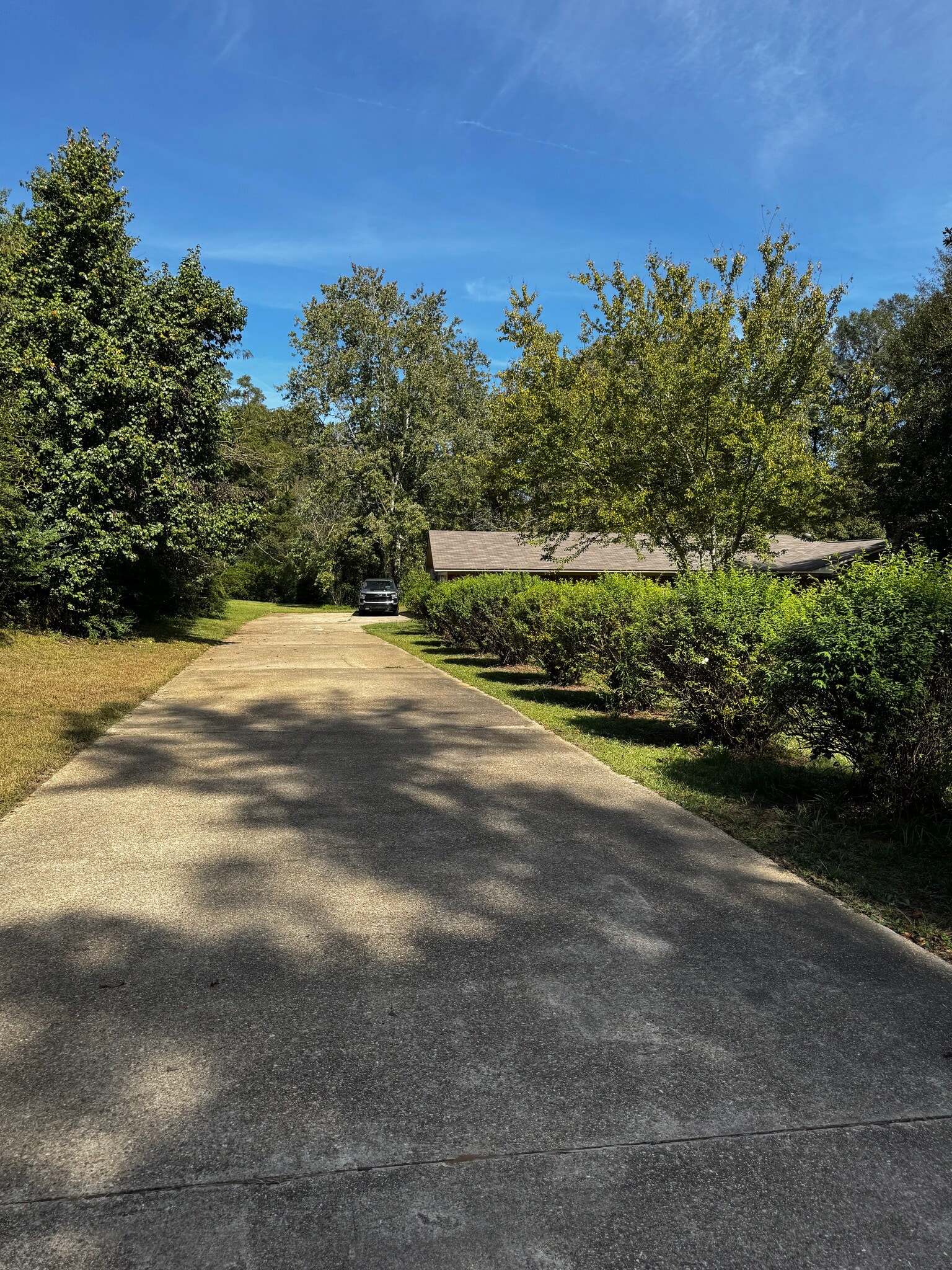 Building Photo - 117 Steed Rd