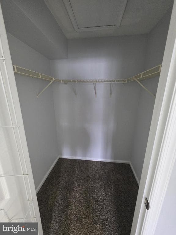 Building Photo - 2602 Saxony Dr