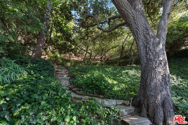 Building Photo - 8926 Wonderland Ave