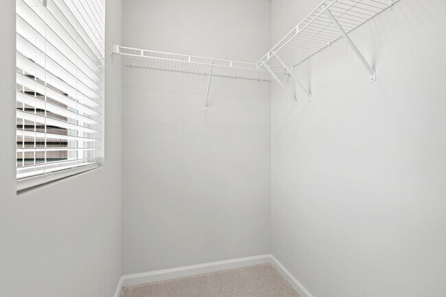 Building Photo - 2638 Chert Ln