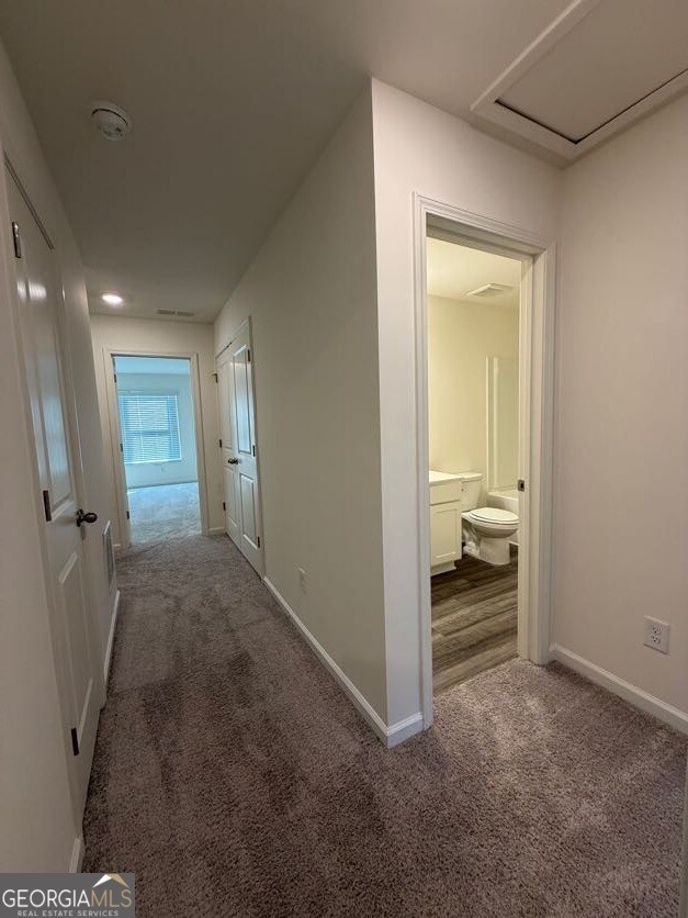 Building Photo - 3520 Condor Ct