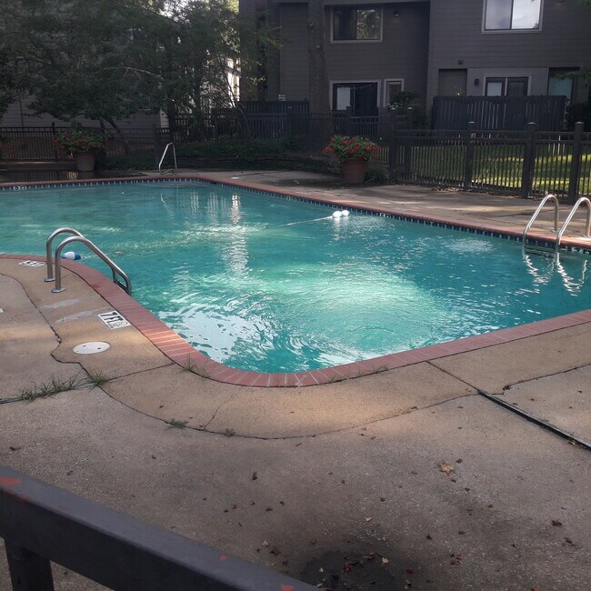 Association Pool - 1809 Adair Bridge Cv