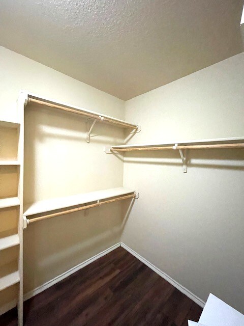 Building Photo - 6721 Cold Water