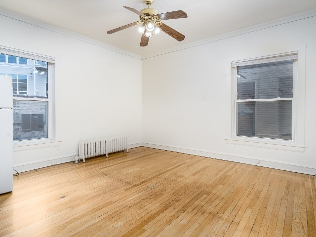 Ivanhoe Studio - Ivanhoe