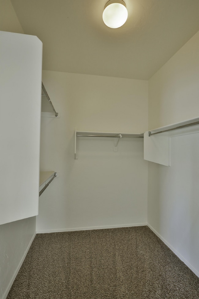 Building Photo - Rancho Sahuarita