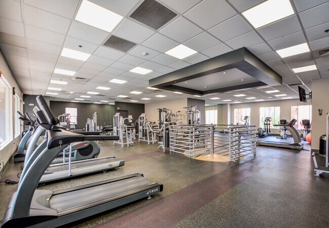 Building Photo - Park Avenue Mid Rise Condo. All HOA Amenities