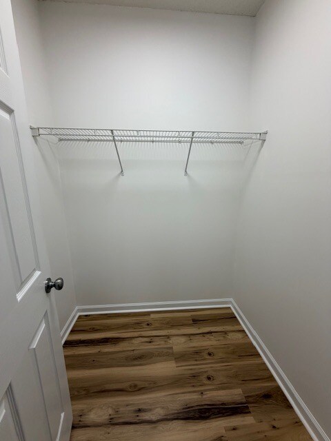 Building Photo - 815 Green Oaks St