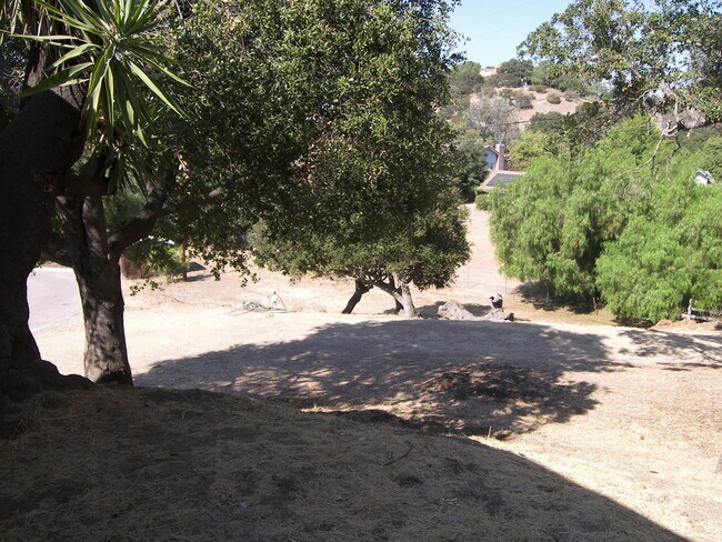 Building Photo - Fantastic Lot + View