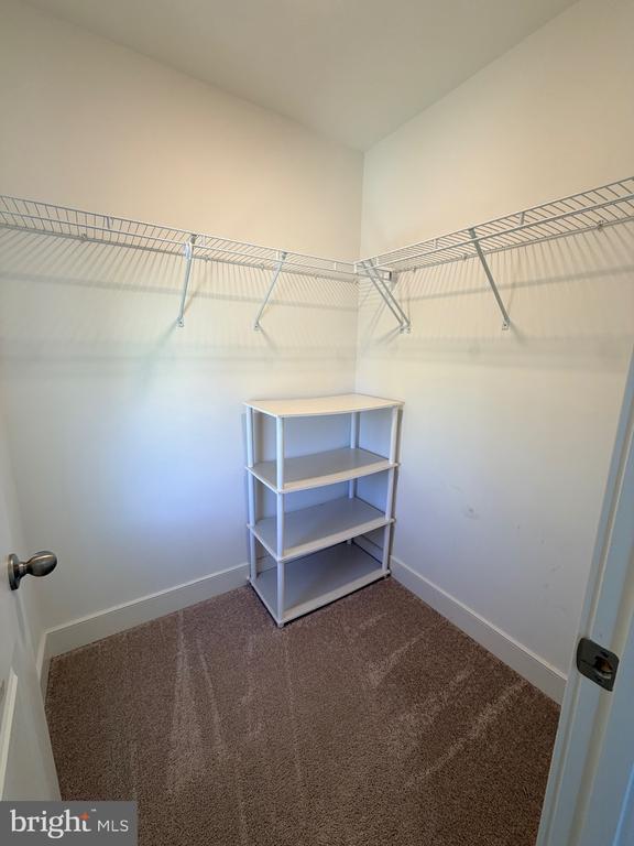 Building Photo - 1530 Sandpiper Bay Lp