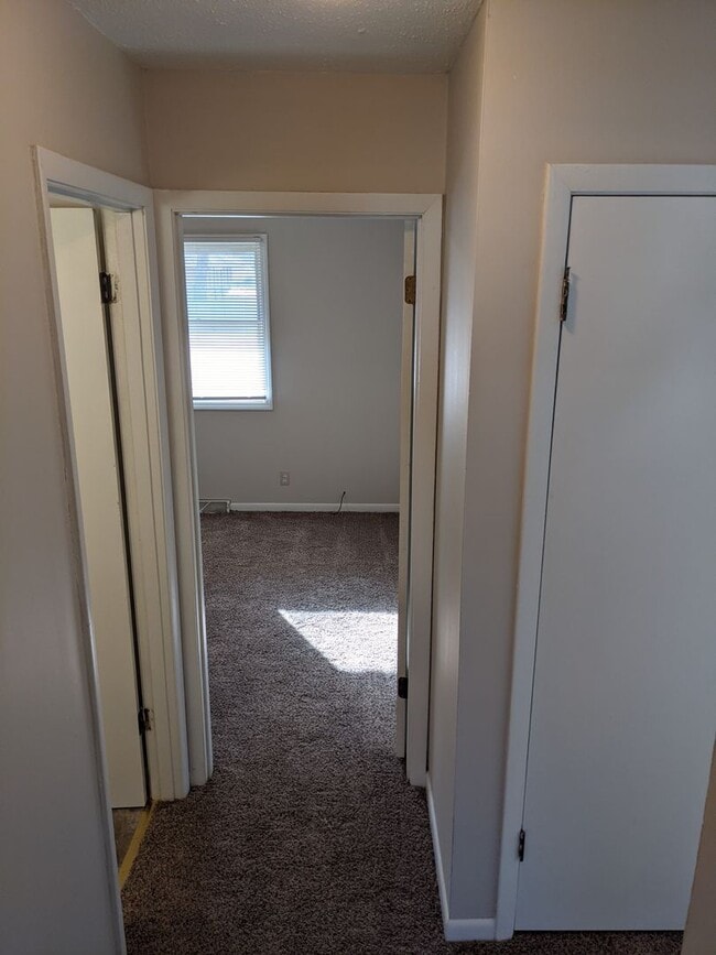 Building Photo - 302 Proctor Ln