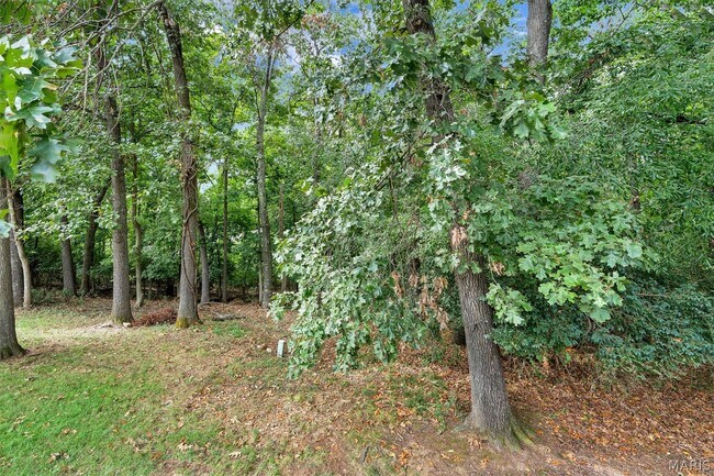 Building Photo - 1409 Oakhall Manor Ct