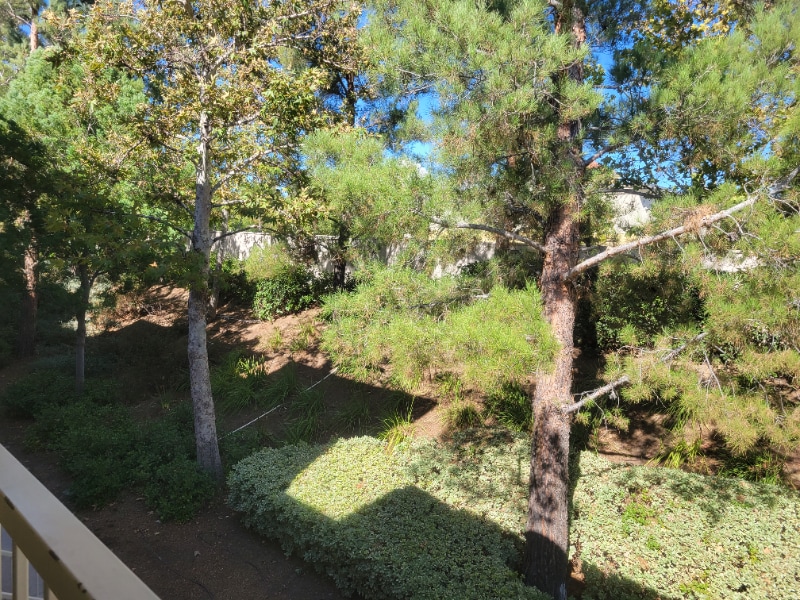 Building Photo - 44734 Adam Ln