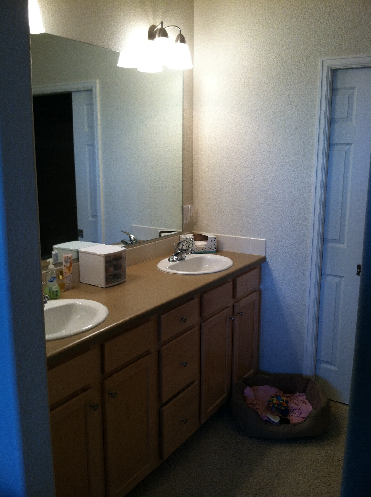 Building Photo - 2432 Owens Ave