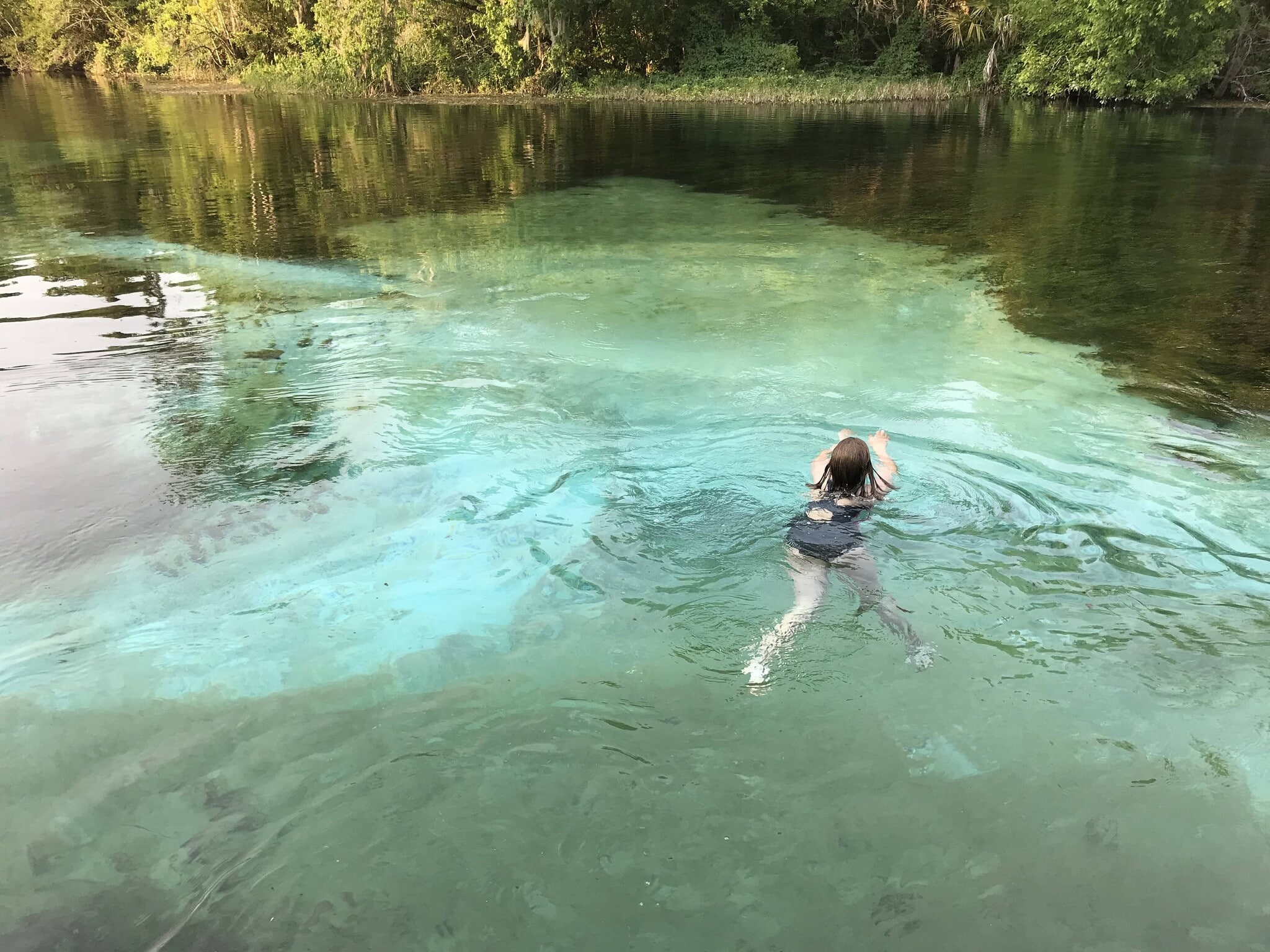 Exclusive Access World Famous Rainbow River - 19615 SW 93rd Lane