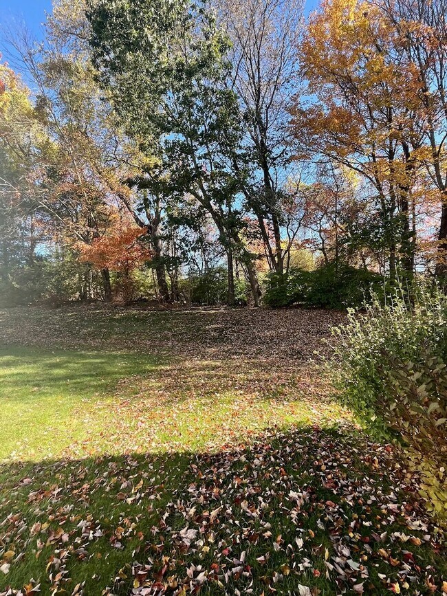 Building Photo - 61 Deer Run Trl