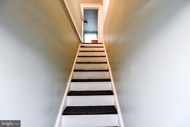 Building Photo - 3802 Cedar Dr