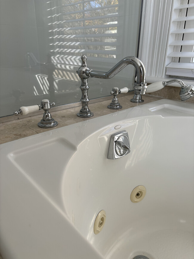 Tub Fixtures - 210 Echo Lake Rd