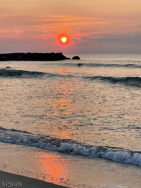 Building Photo - 217 Newark Ave