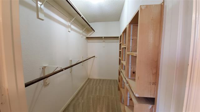 Building Photo - 3808 Aloe Dr