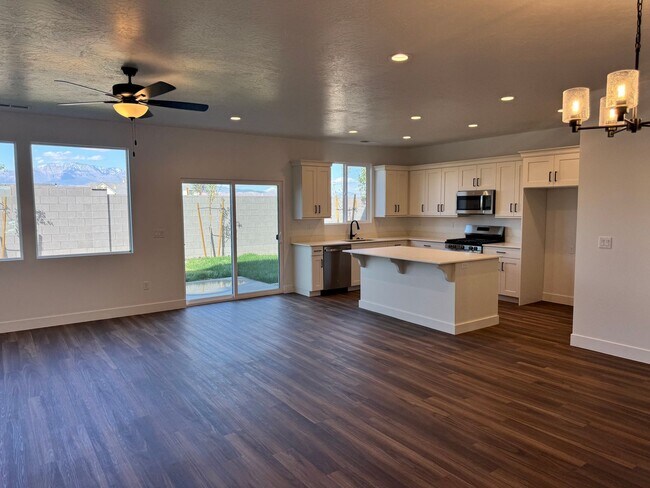 Building Photo - Brand New LARGE S&S Home!!