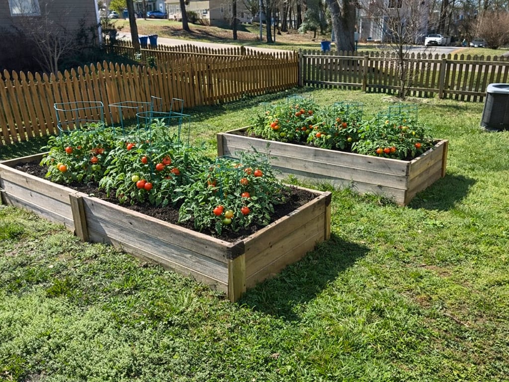 Building Photo - 7086 Ann Cabell Ct