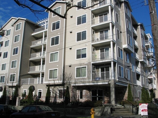 Building Photo - Portico on Terrace Apartments