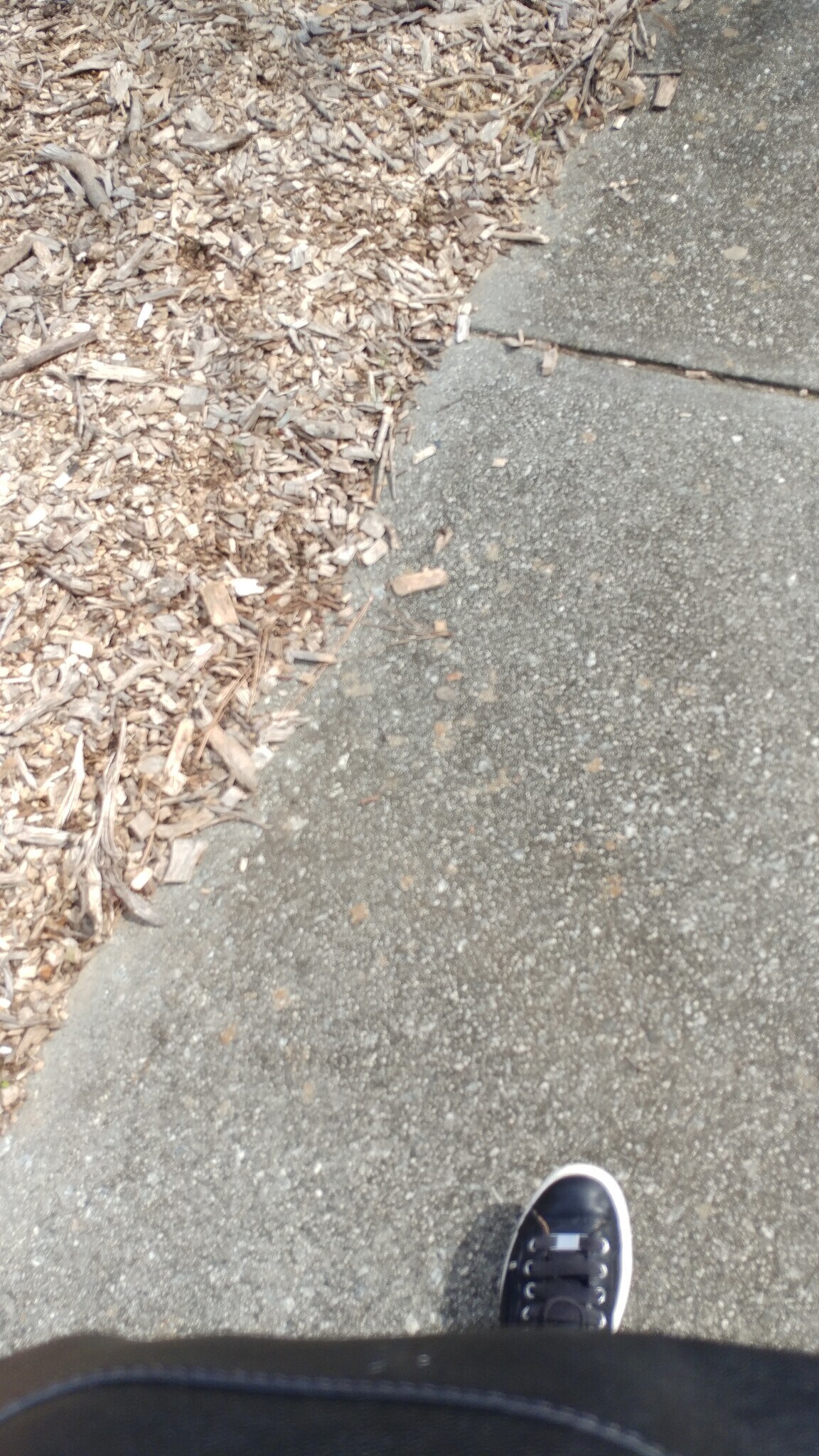 Building Photo - 10226 Lockhart Rd